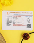 Divine Hindu Natural 5 Mukhi Rudraksha – Nepali Origin, Lab Certified