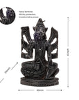 Divine Hindu Lord Varahi Karungali Idol – Ebony Wood