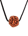 Divine Hindu Natural 5 Mukhi Rudraksha – Nepali Origin, Lab Certified