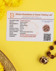 Divine Hindu Shree Om Rudraksha Necklace – 54 Beads, Lab Certified