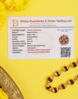 Divine Hindu Golden Cap Rudraksha Necklace – 54 Beads, Lab Certified